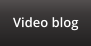 Video blog