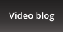 Video blog